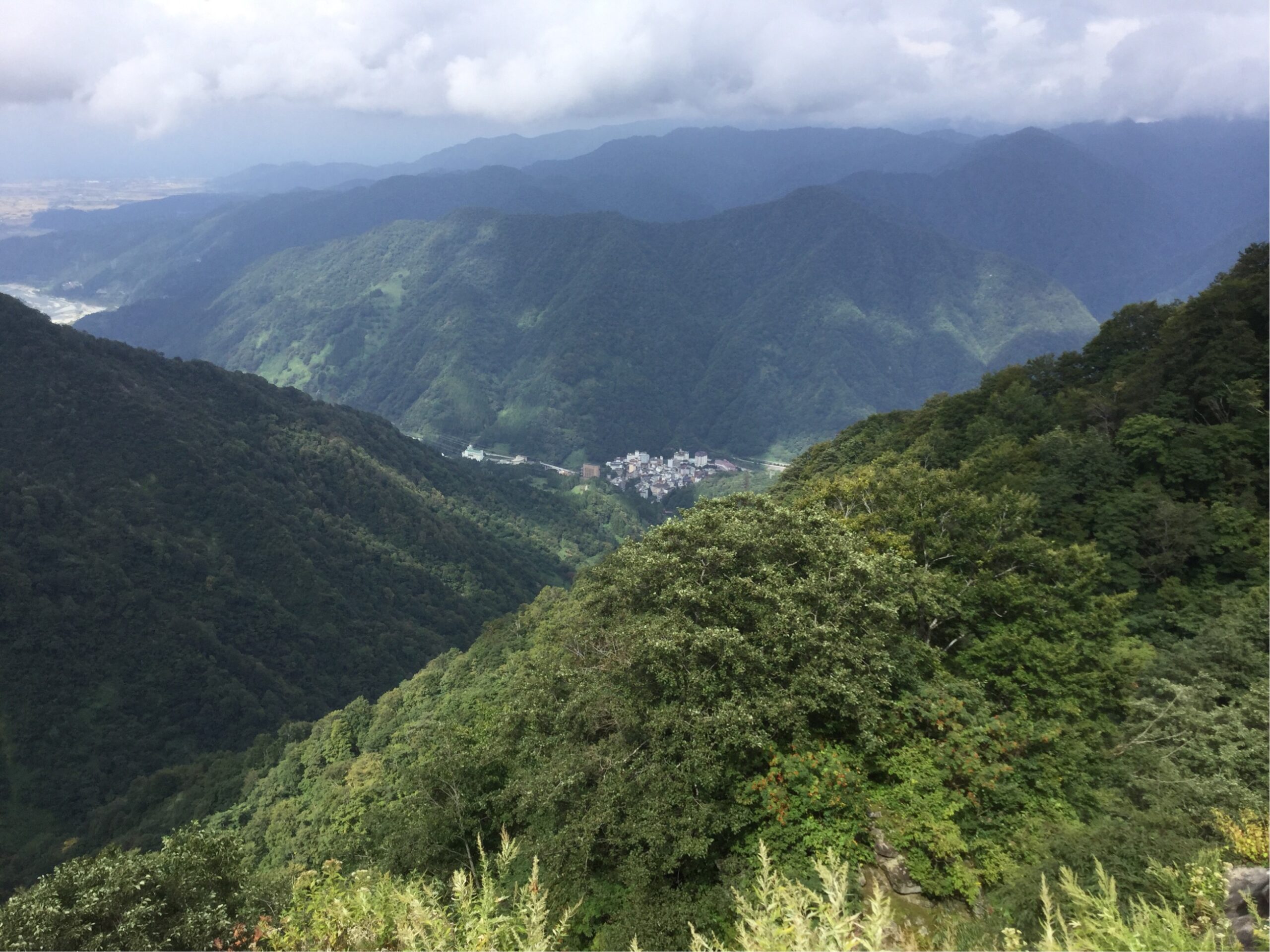 僧ガ岳林道の写真をアップしました。