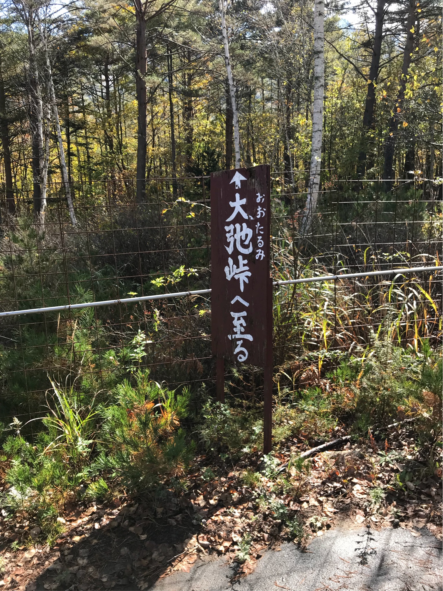 大弛峠 長野県側 全行程